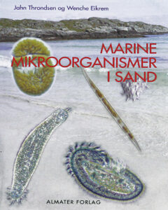 Marine mikroorganismer i sand